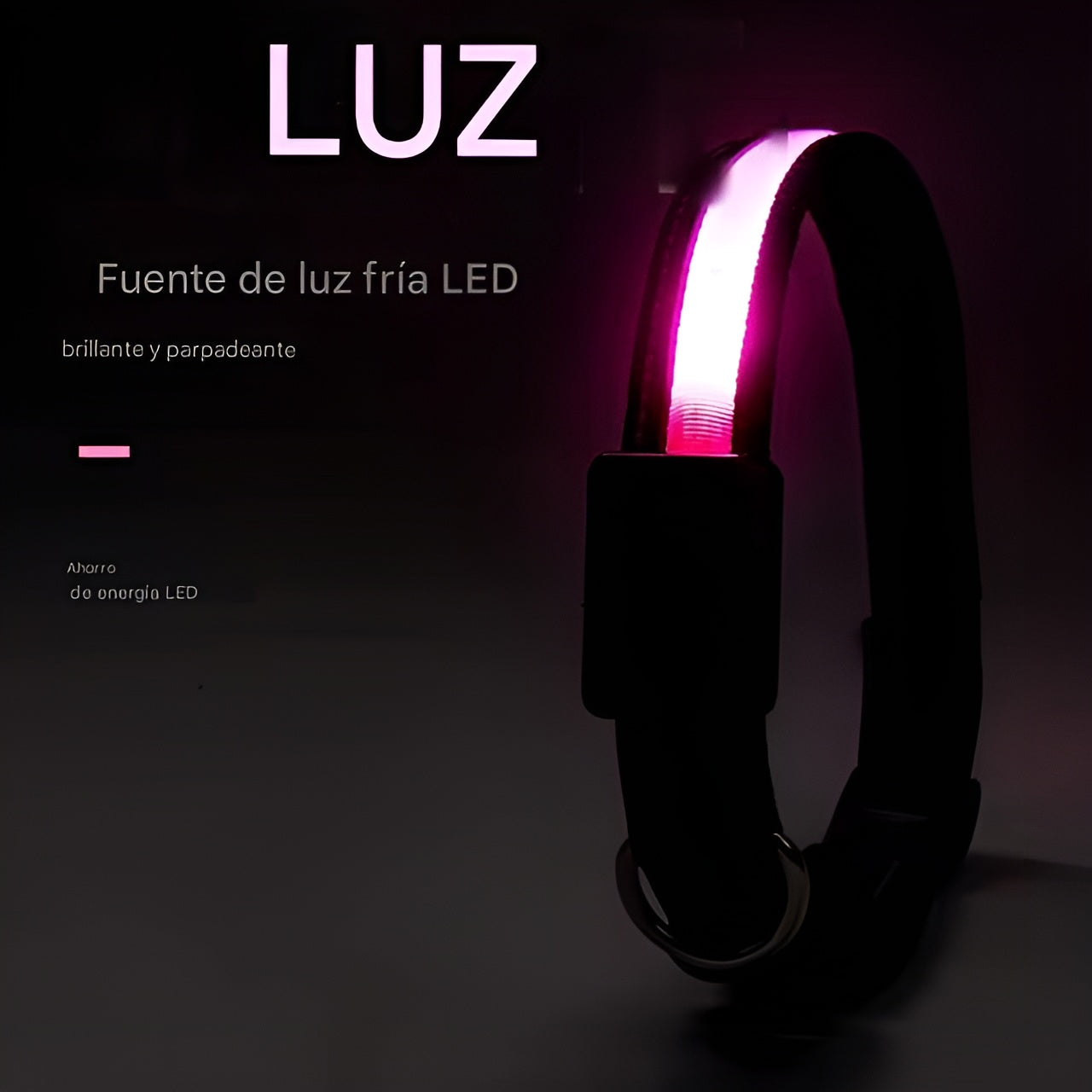 Collar LED para perros – Comprar al mejor precio en NQLN Store Venezuela