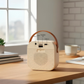 Altavoz inalambrico con Bluetooth karaoke 2 microfonos – Tienda online NQLN Store Venezuela