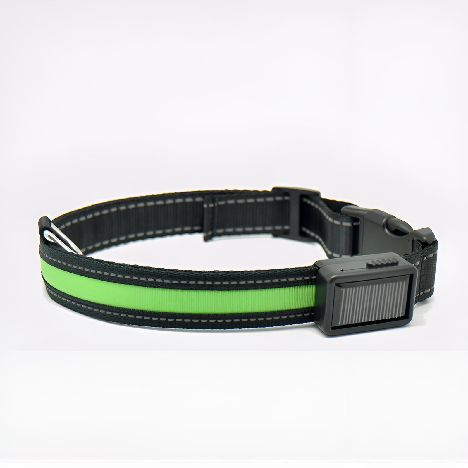 Collar LED para perros – Comprar al mejor precio en NQLN Store Venezuela
