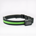 Collar LED para perros – Comprar al mejor precio en NQLN Store Venezuela