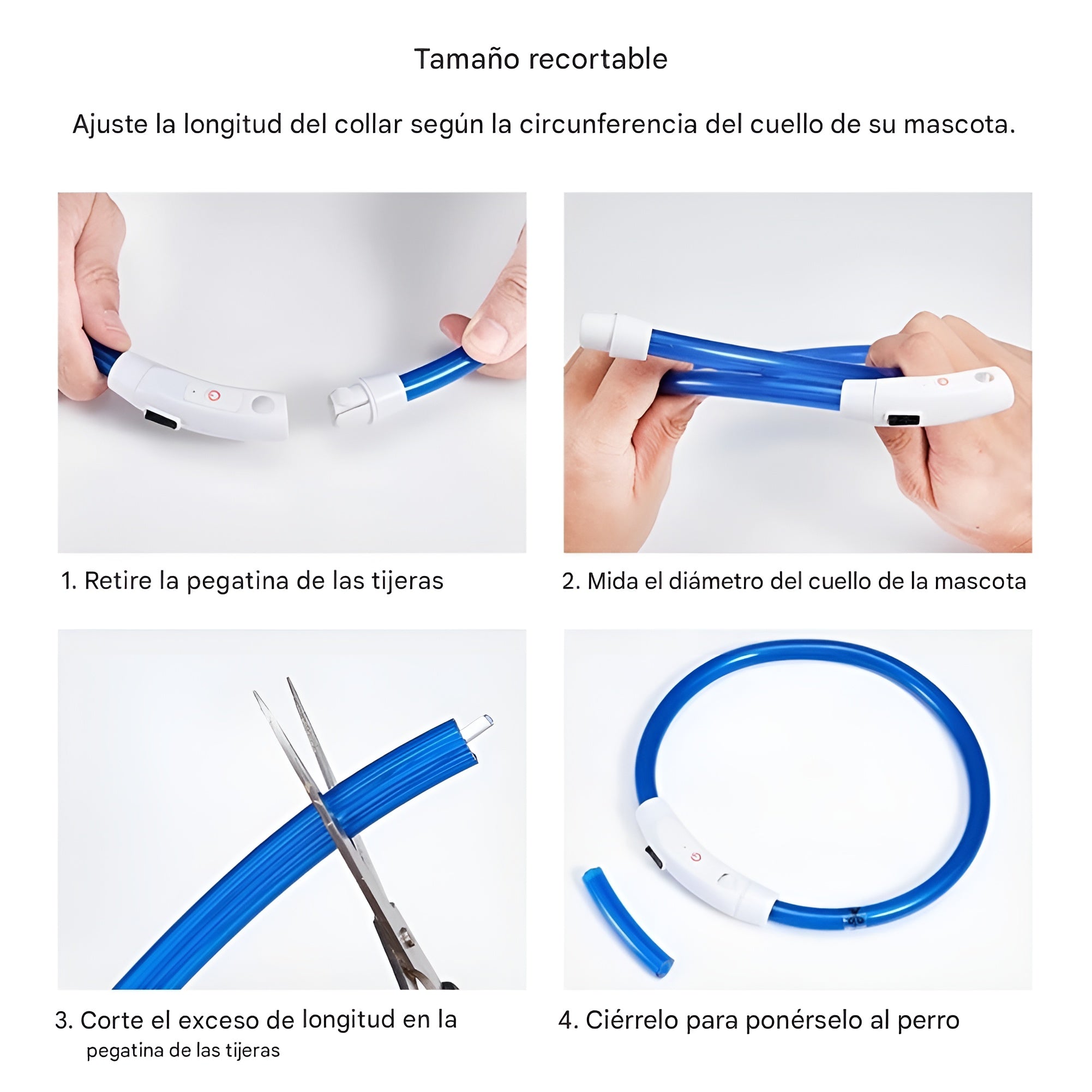 Collar Led para Mascotas Ajustable – Comprar al mejor precio en NQLN Store Venezuela