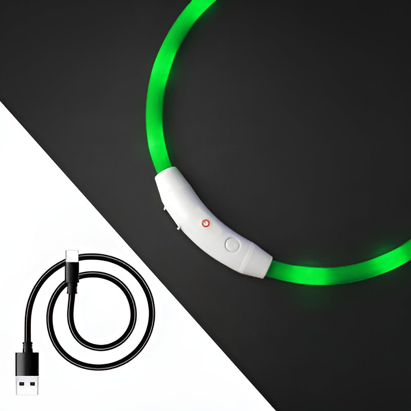 Collar Led para Mascotas Ajustable – Disponible en Caracas y Margarita – NQLN Store