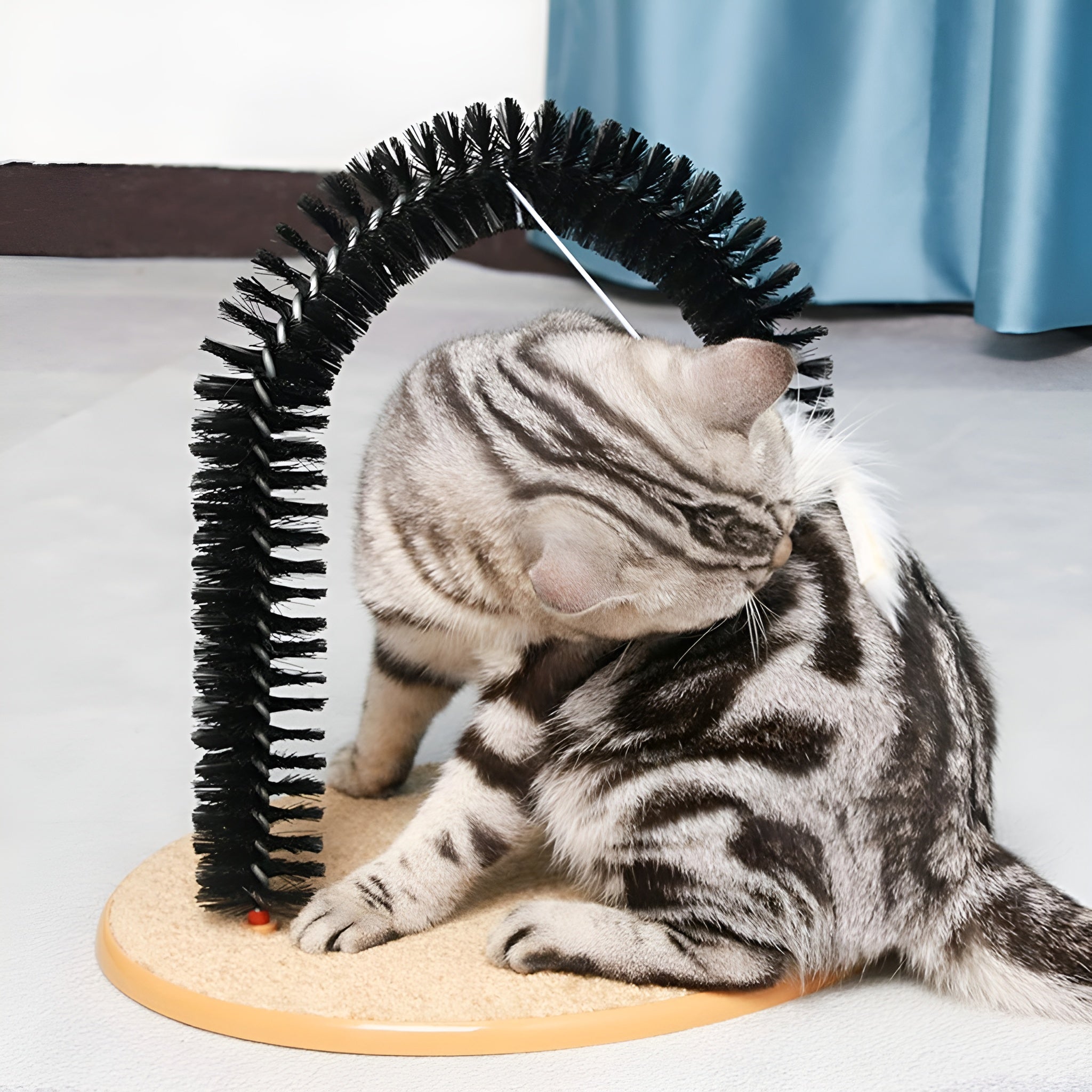 Rascador de percha para gatos – Comprar al mejor precio en NQLN Store Venezuela