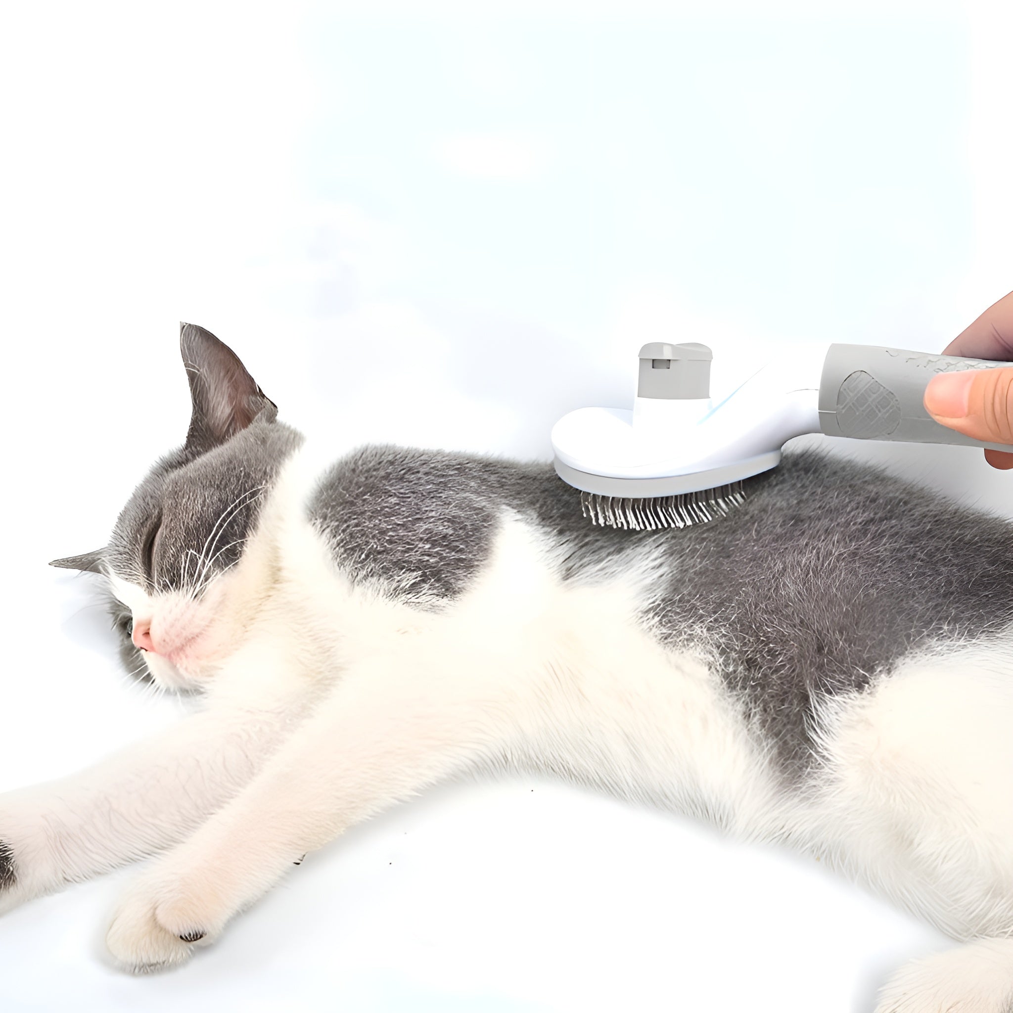 Cepillo Removedor de Pelo Para Mascotas – Comprar al mejor precio en NQLN Store Venezuela