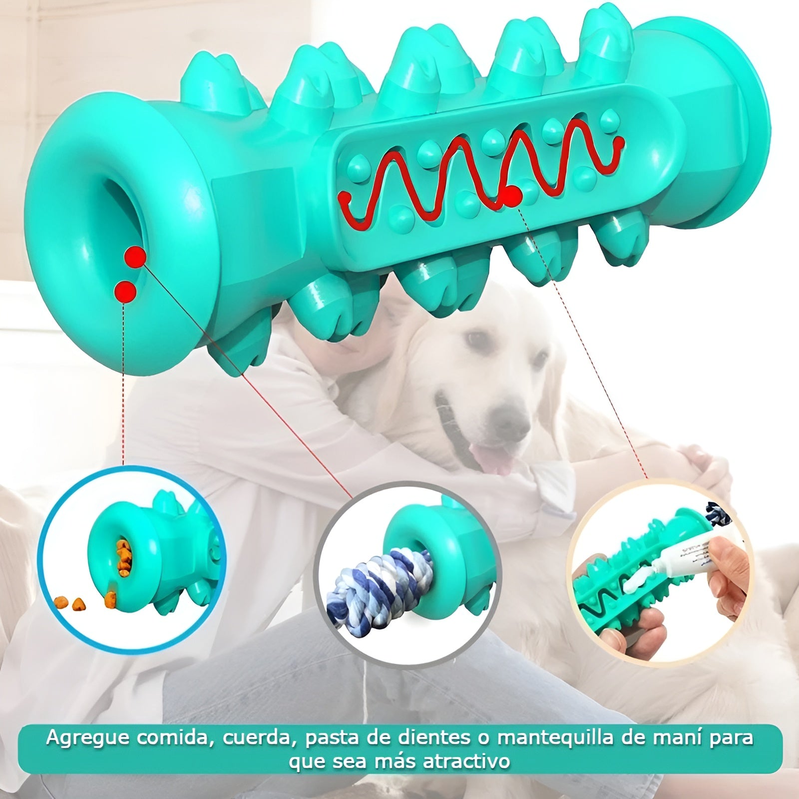 Cepillo de dientes Molar para perros – Comprar al mejor precio en NQLN Store Venezuela