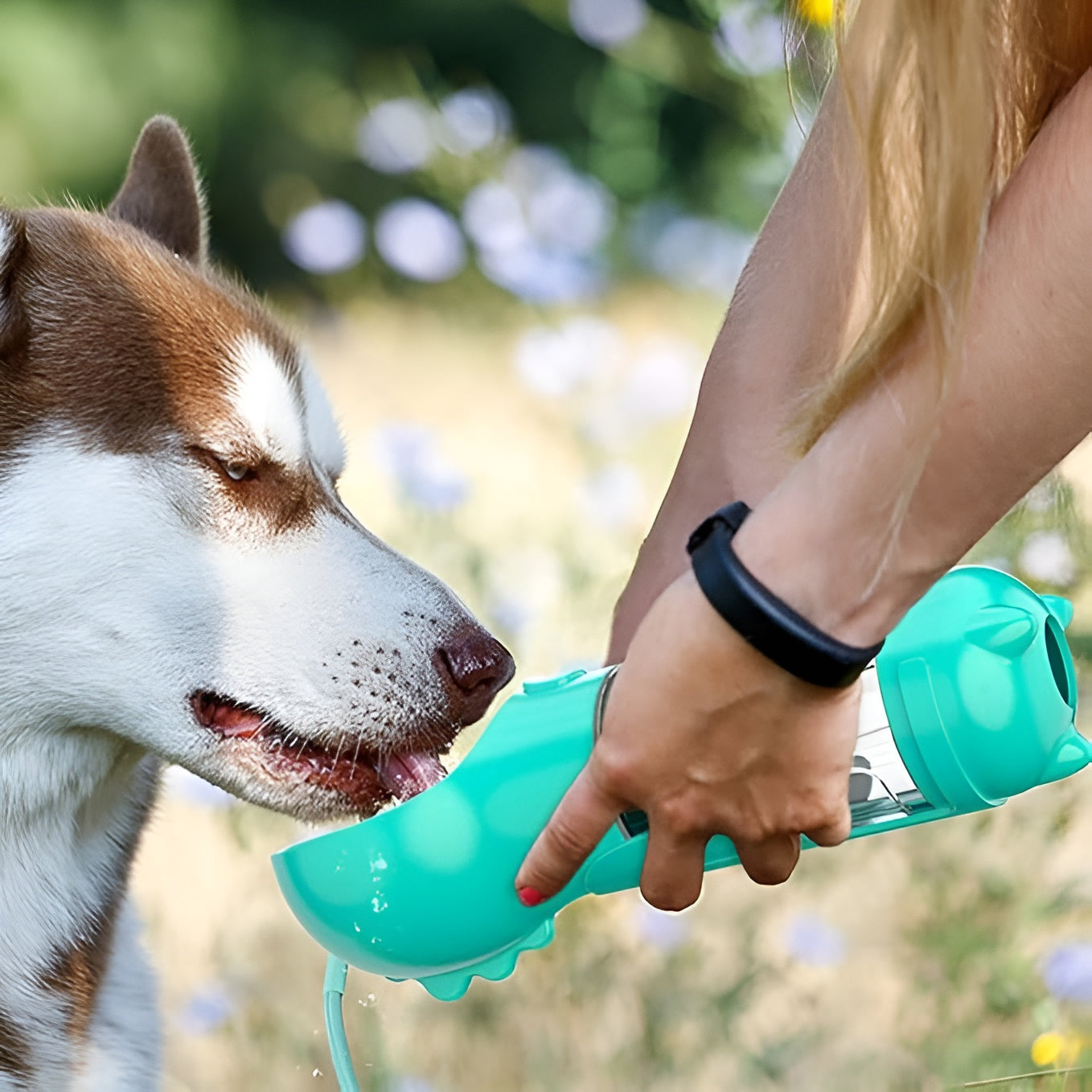 Botella de agua multifuncional 5 en 1 para mascota. – Tienda online NQLN Store Venezuela
