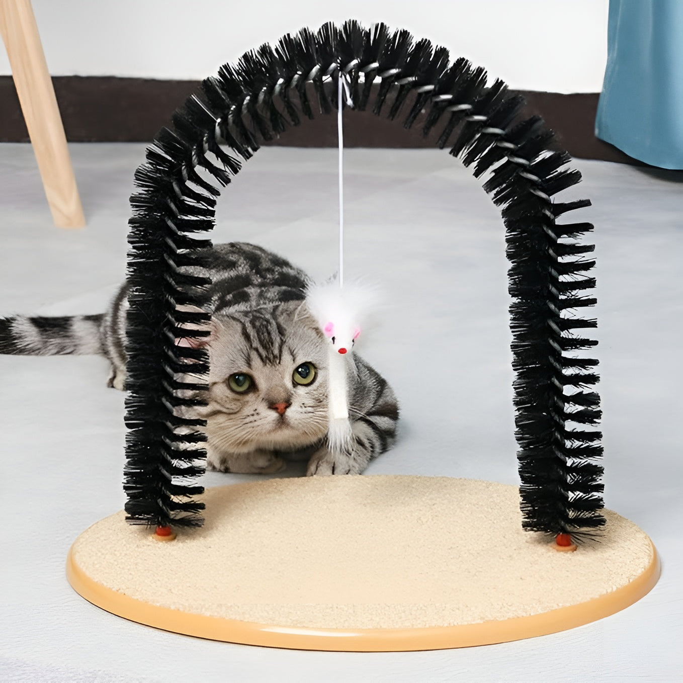Rascador de percha para gatos – Disponible en Caracas y Margarita – NQLN Store