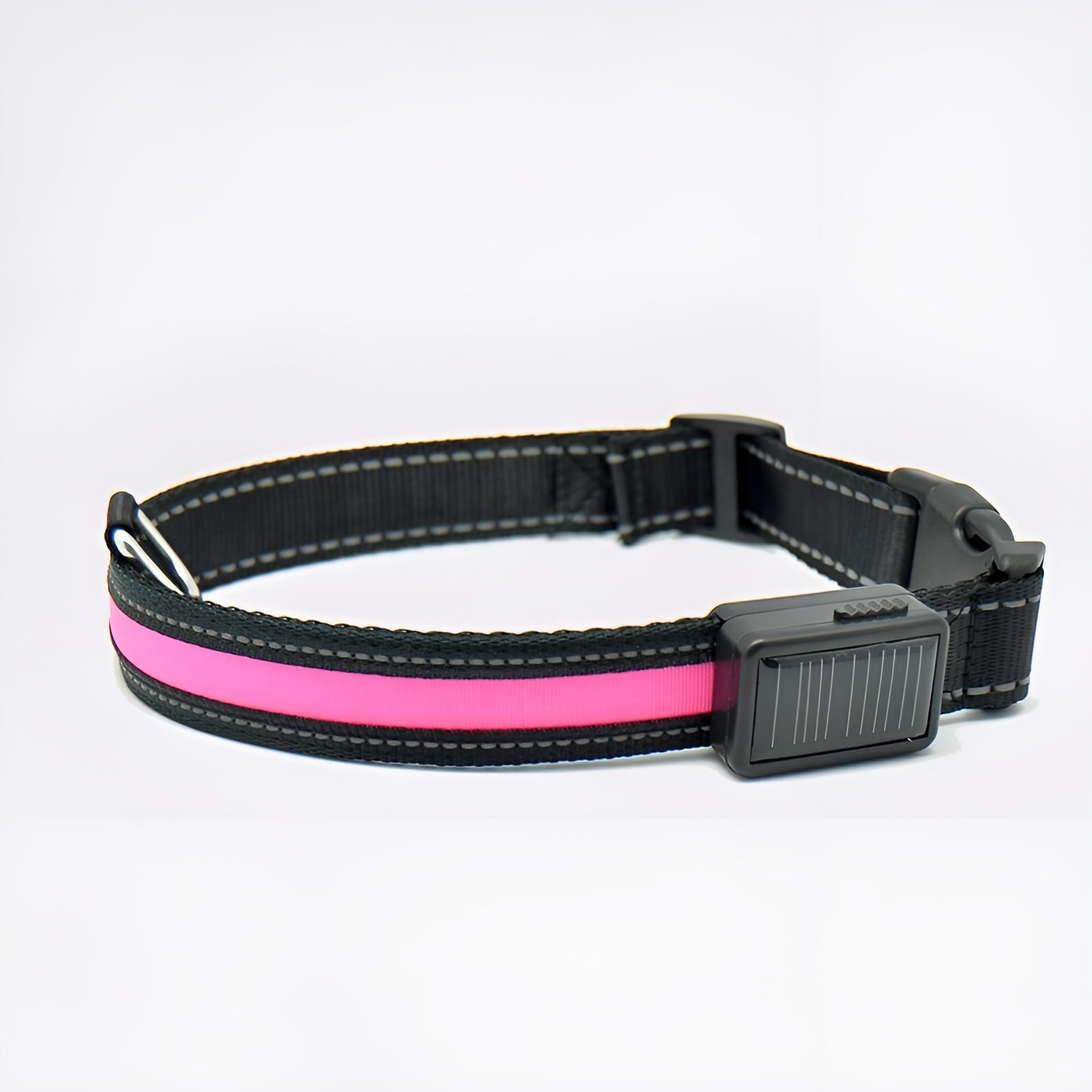 Collar LED para perros – Comprar al mejor precio en NQLN Store Venezuela
