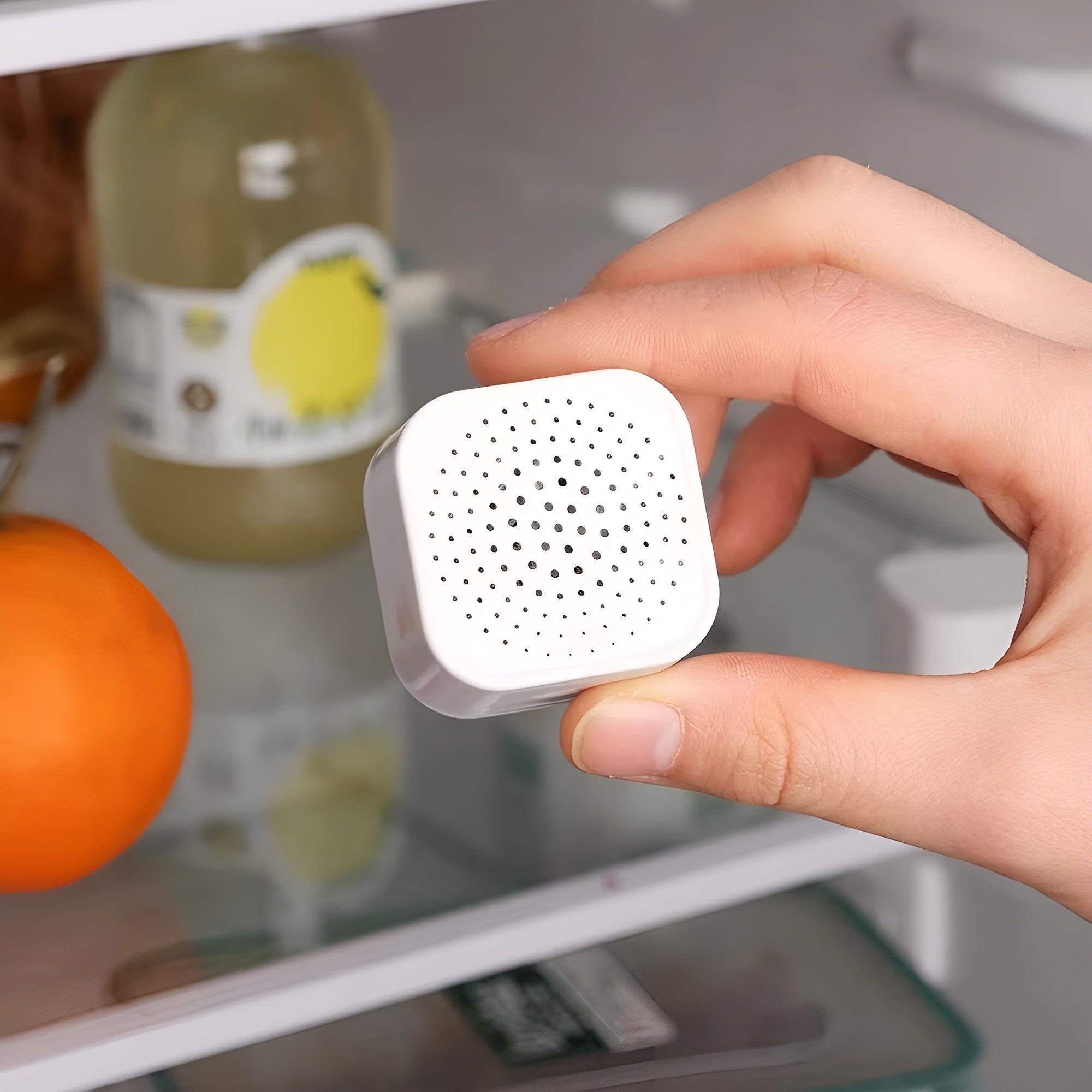 Absorbente de Olores para Refrigerador – Disponible en Caracas y Margarita – NQLN Store