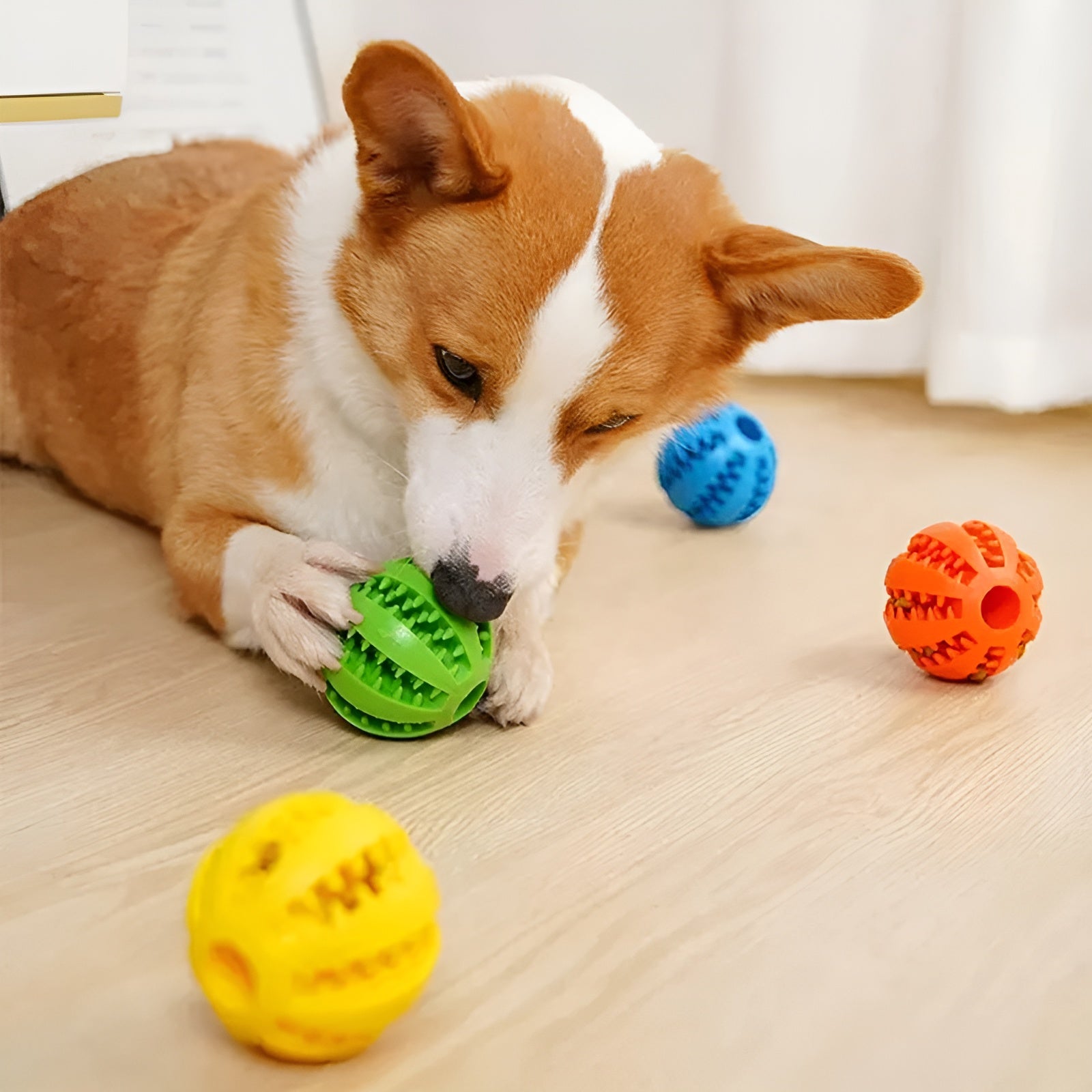 Pelota interactiva para alimentos mascota – Envío a toda Venezuela – NQLN Store