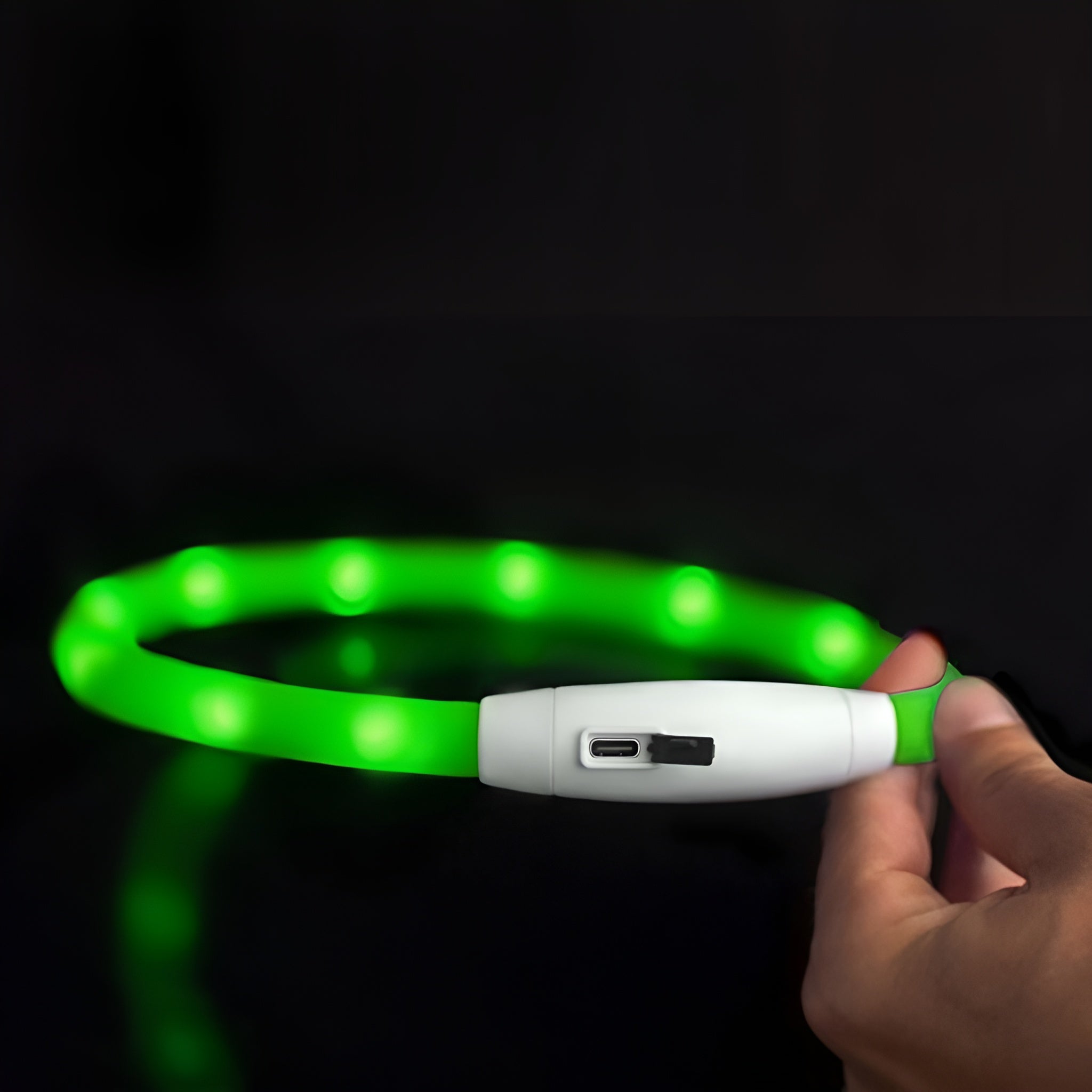 Collar Led para Mascotas Ajustable – Comprar al mejor precio en NQLN Store Venezuela