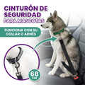 Correa de seguridad para mascotas en carros