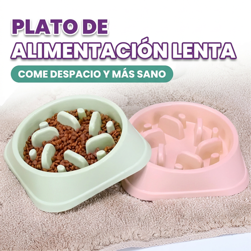 Plato de alimentacion lenta para perros