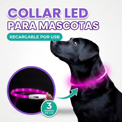 Collar Led ajustable de paseo nocturno para mascota
