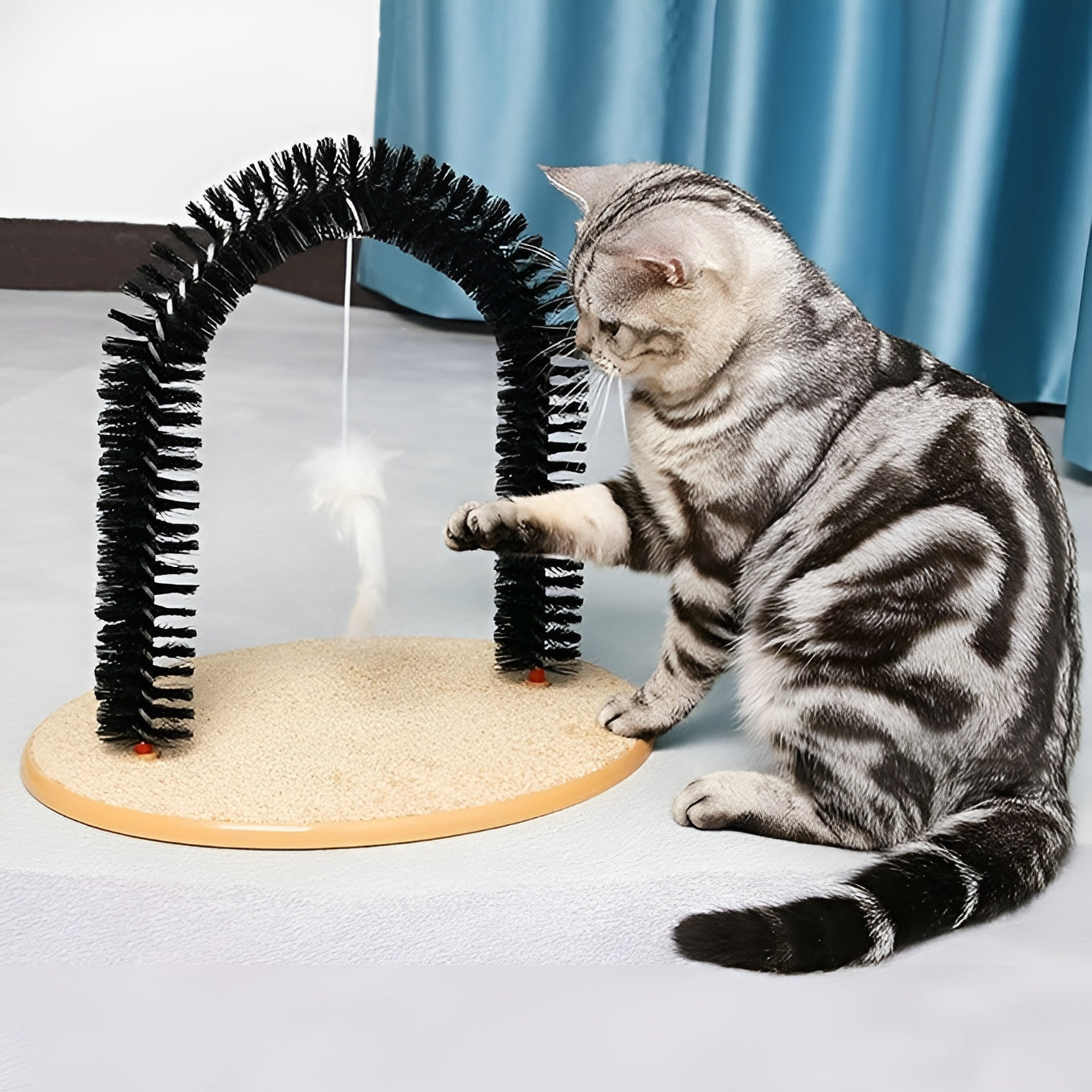 Rascador de percha para gatos – Comprar al mejor precio en NQLN Store Venezuela